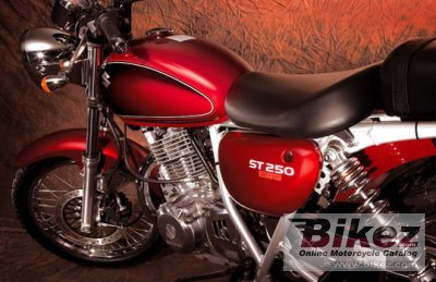 2008 Suzuki ST 250 Etype photo
